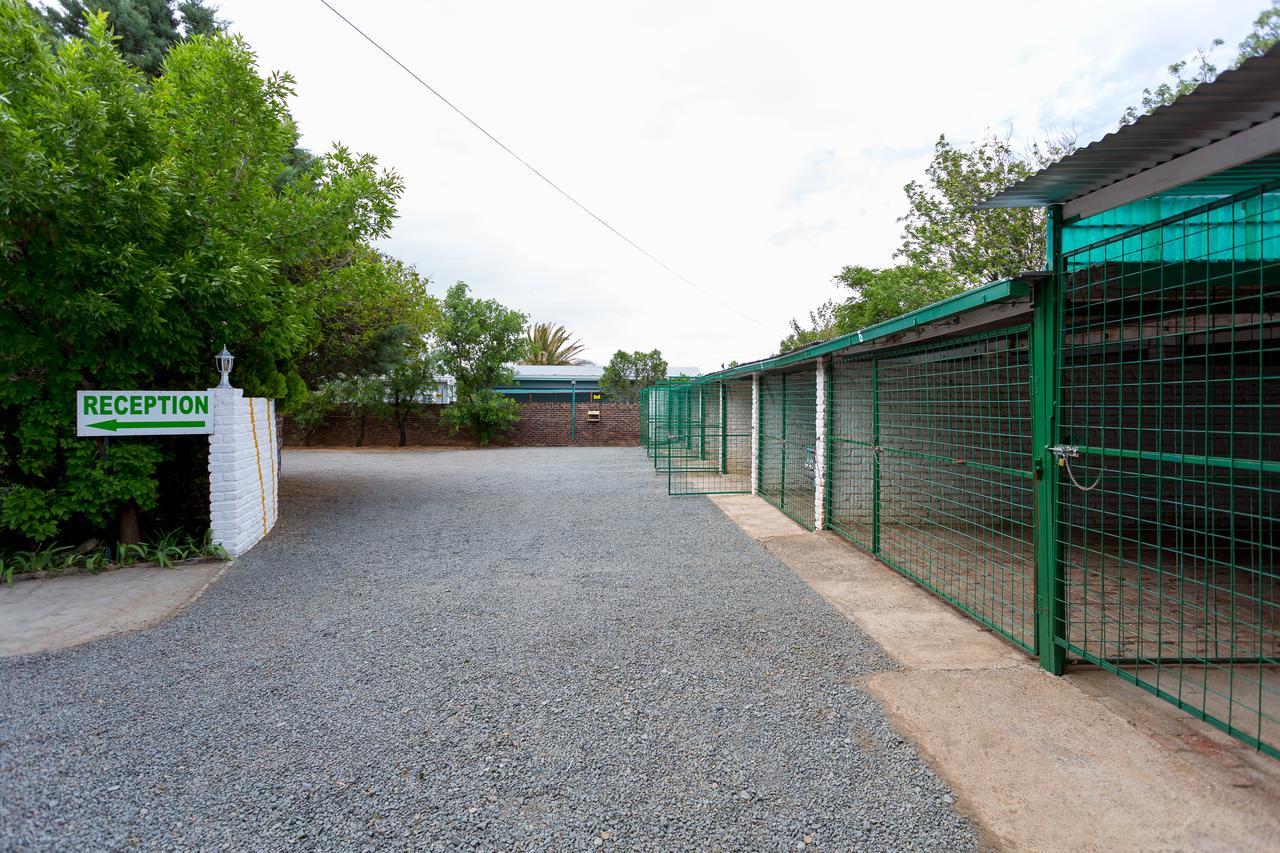 Colesview Guest House كوليزبيرغ المظهر الخارجي الصورة